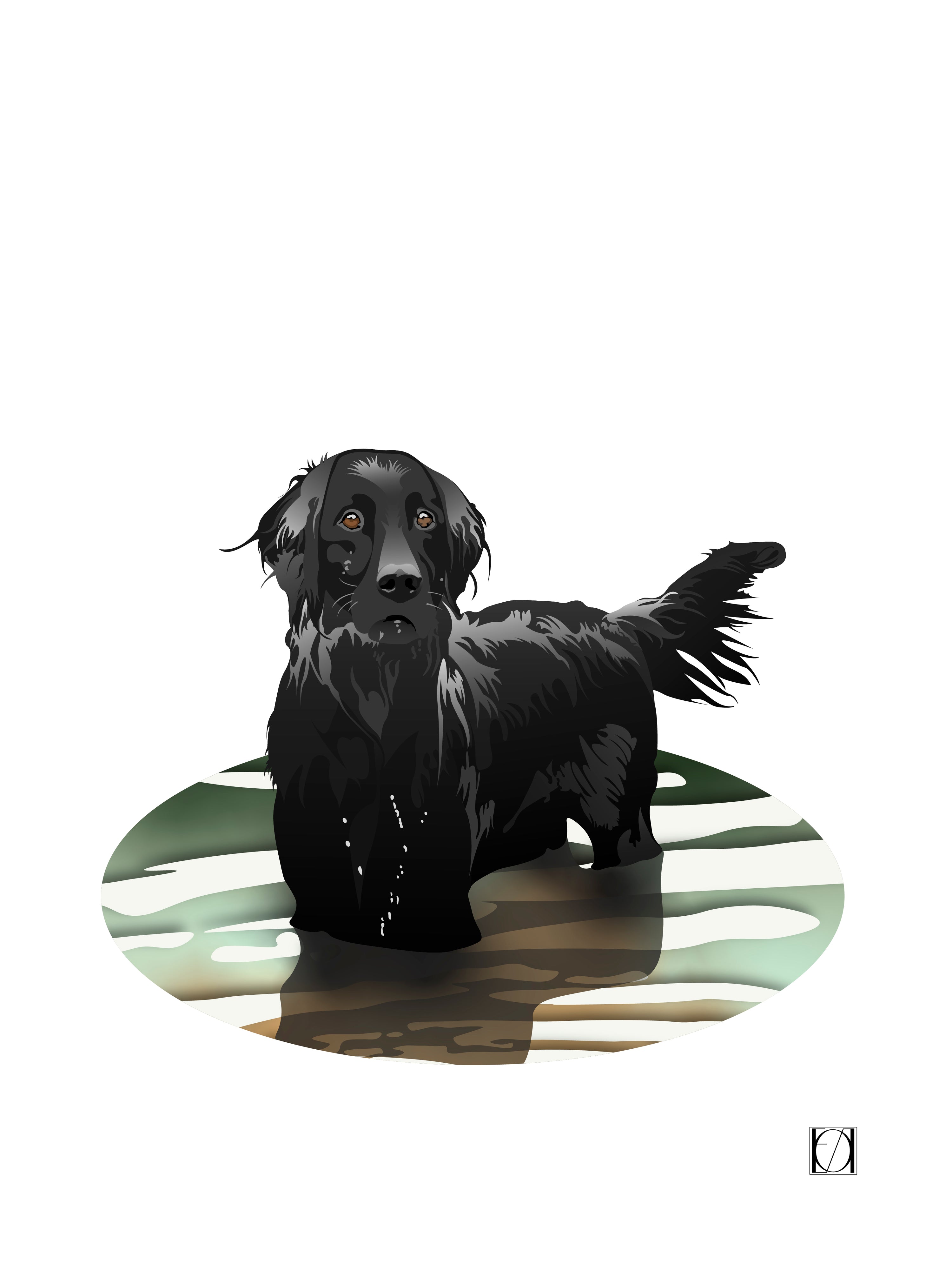 Personlig illustrert plakat av en sort hund som står i vann. Fargene på motivet står i sterk kontrast til den hvite bakgrunnen. Den sorte hunden har et kraftig uttrykk i øynene. Hunden ser leken og spent ut. Han står i en dam med vann halvegs opp på bena.
